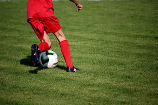 中国篮球教练员战术执行能力评估体系，中国篮球教练员培训等级